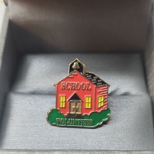 School Volunteer Pin